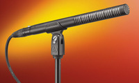 Audio Technica BP4073 condenser short shotgun.